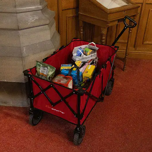 A red collapsible trolley filled with food items, placed indoors on a red carpet.