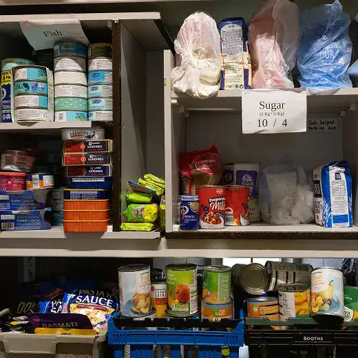 Canned fish, sugar, and other food items organized on storage shelves.